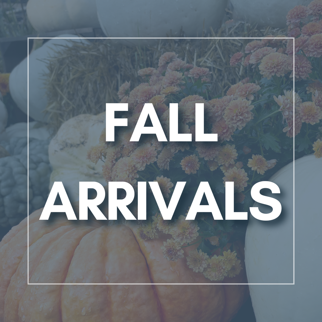 New Fall Arrivals