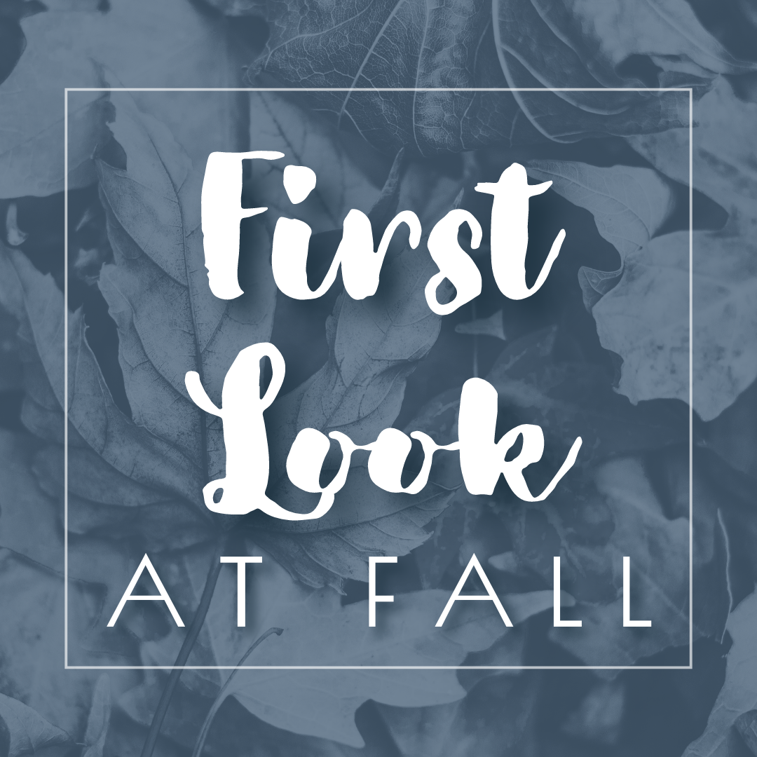 First Look at FallSix Sisters Boutique-NULU