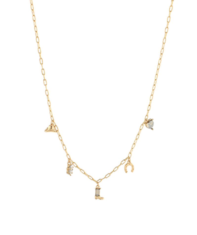 Small Charm Western Necklace