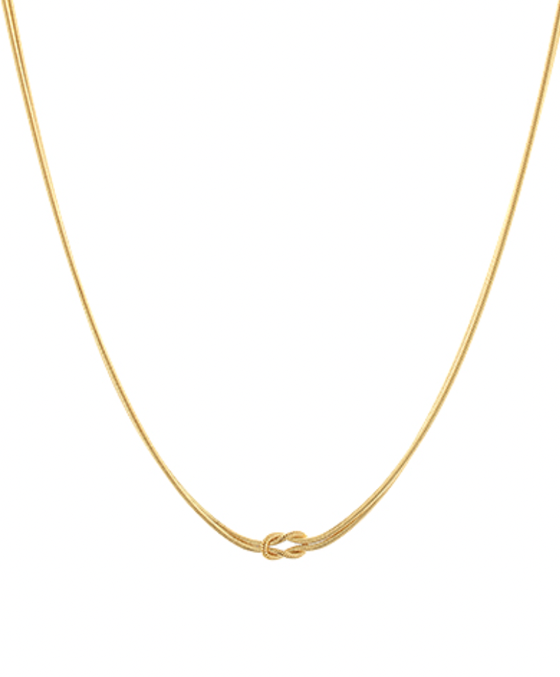 Double Snake Chain Necklace