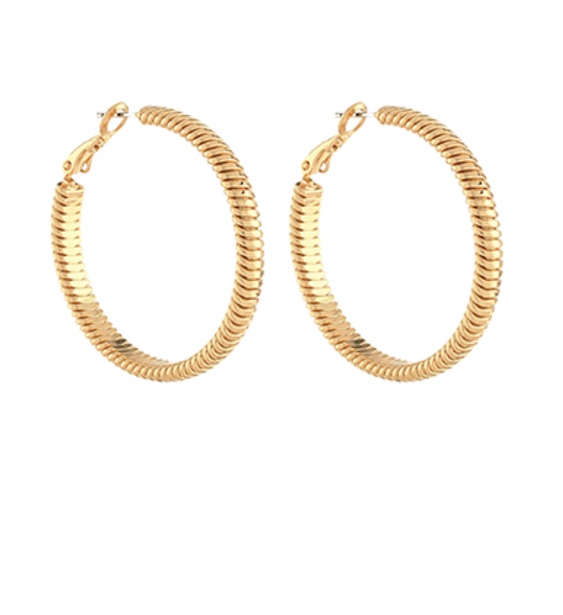 Omega Hoop Earrings