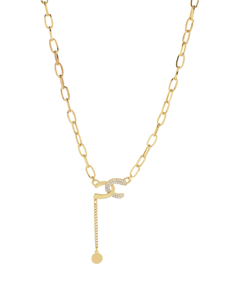 Linked Horseshoe Necklace